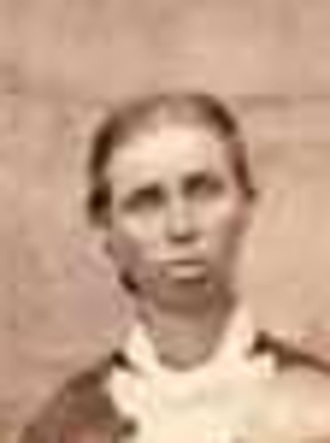 Jane Mace (1842 - 1917) Profile